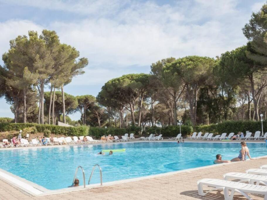 Bel Appartement Vue Sur Piscine 1 Chambre Fermee Et 1 Espace Cabine Saint-Raphaël Екстериор снимка